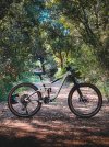 Giant Reign SX 2019