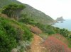 DSCN1756PuntaTroia.jpg