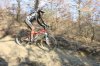marmoweb panning.jpg