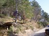 n1521460897_30223133_5012860[1].jpg