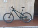 Vendo Dartmoor Hornet 27.5 taglia L