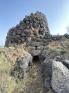 IMG_0055.jpeg