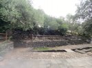 IMG_0042.jpeg