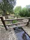 IMG_0045.jpeg
