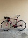 Bianchi sempre pro bici da strada