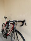 IMG_3722.jpeg