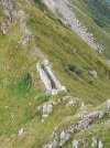 IMG_20230903_085341_727.jpg