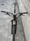 IMG_9831.jpeg