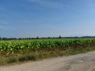 20231006_103412.jpg