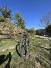 IMG_6585.jpeg