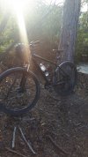IMG_1027.jpeg
