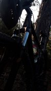 IMG_1025.jpeg