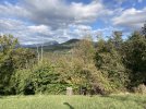 IMG_0323.jpeg