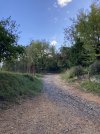 IMG_0317.jpeg