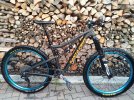 Santa Cruz Bronson