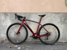 TREK DOMANE SL5 CARBONIO
