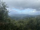 IMG_0906.jpeg