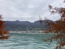IMG_0416.jpeg