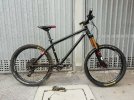 NS Bikes Surge EVO tg. L (17")