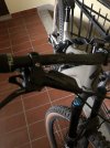 IMG_4495.jpeg