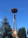 IMG_2645.JPG