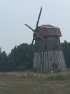 IMG_2908.JPG