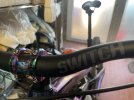 IMG_0195.jpeg
