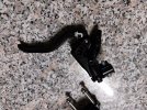 Magura MT4