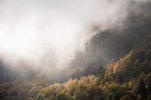 DSC_4820.jpg