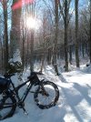 IMG_20231209_115231.jpg