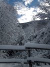 IMG_20231209_142300.jpg