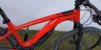 IMG_20201011_171820.jpg