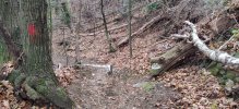 IMG_20231226_094653.jpg