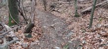 IMG_20231226_094705.jpg