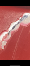 F09551CD-2A30-4C66-B6E0-C7CAA05AACA3.png
