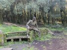 IMG_1633.jpeg