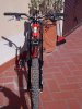 cherry.3_130.jpg
