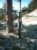 my_bike_2_copia_125.jpg