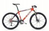 copia_di_freedom_20rider2_935.jpg