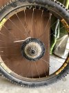 IMG_0137.jpeg