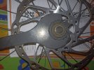 IMG_20240127_163636.jpg