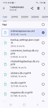 Screenshot_20240131_193616_Files by Google.jpg