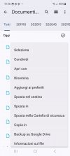 Screenshot_20240131_193648_Files by Google.jpg