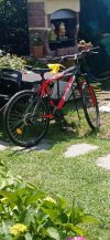 CERCO MTB FRONT CARBON