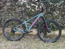 SantaCruz Chameleon Tg Small