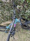 IMG_5780.jpeg