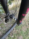 IMG_5783.jpeg