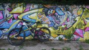 DSC_0798.JPG