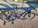 Santacruz Highball Custom