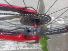 IMG_20240218_165445.jpg